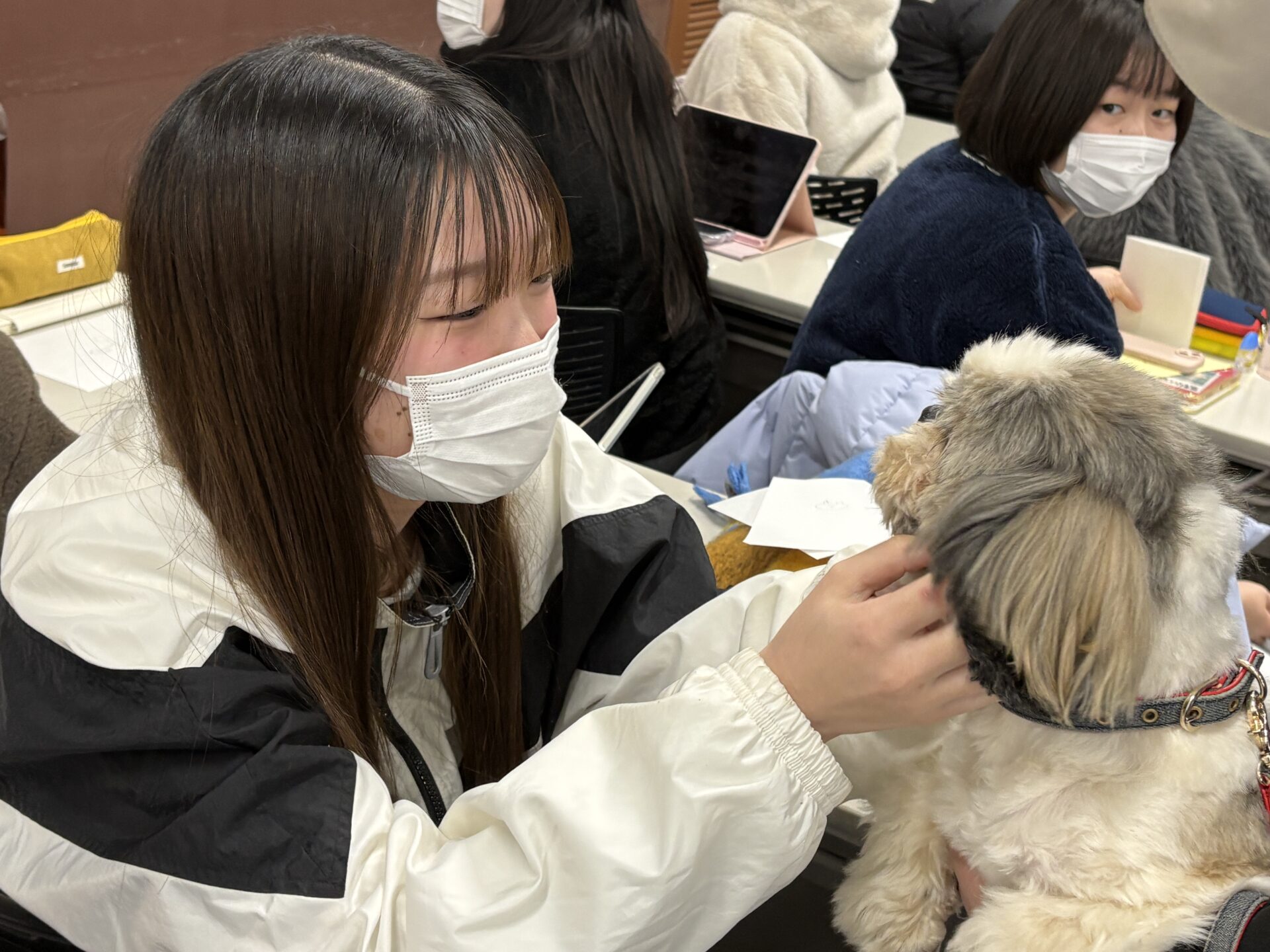 看護学科1年生 セラピードッグに触れて | 学校法人ベル学園 岡山医療